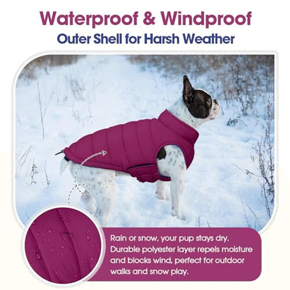 QBLEEV Reversible Dog Jacket, Windproof Dog Coat, Lightweight Puffer Vest - color: Violet-Blue, size: Medium
