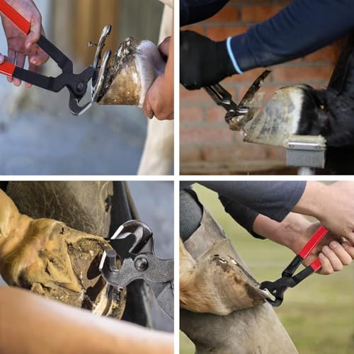 11pcs Farrier Tools Farrier kit Horse shoeing Tools Farrier Supplies Farrier Tools for Horses Cattle Sheep and Donkeys