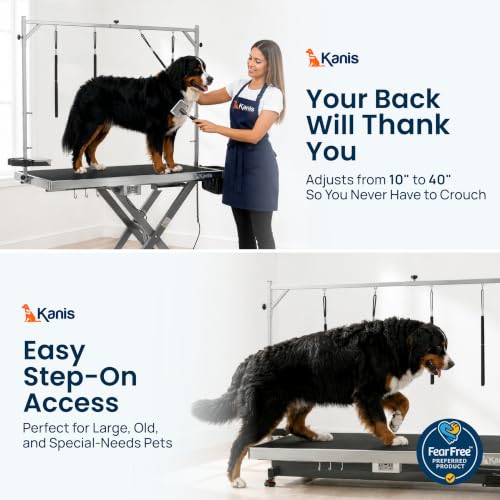 KANIS Professional Electric Dog Grooming Table - Heavy Duty - color: GREY, size: 60"