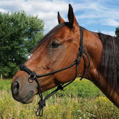 Southwestern Equine Side Pull Rope Halters with Nickle Plated Rings - color: Black