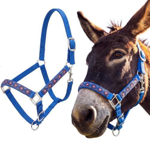 Miniature Donkey Halter, Adjustable Nylon Pony Halter with 3 Adjustable Buckles, Lightweight Small Equine for Farm Mini Horses Training, Blue, No Lead Rope Included