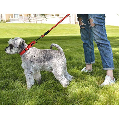 haapaw Martingale Dog Collar with Quick Release Buckle Reflective Dog Training Collars for Small Medium Large Dogs - color: Blue, size: L