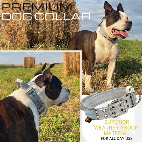 ADITYNA Heavy Duty Dog Collar for Medium Dogs with Traffic Handle - color: Gray, size: Medium: Fit 15-19" Neck