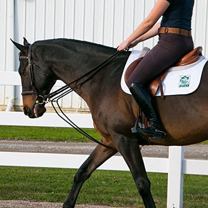 Dura-Tech Sliding Snap Rope Draw Reins for Horses | Unbeatable Quality and Price | Durable Cotton Poly Rope | Reinforced Snaps | Two Sliding Snaps | All-Breed Suitable