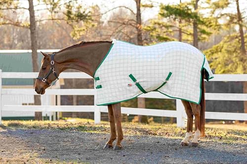 MIller's Aussie Ripstop Stable Sheet - color: Forest Green, size: 78