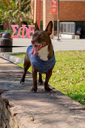 Gooby Zip-Up Fleece Dog Sweater, Gray Wash, Small - color: Gray Wash, size: Small chest (~13.5")