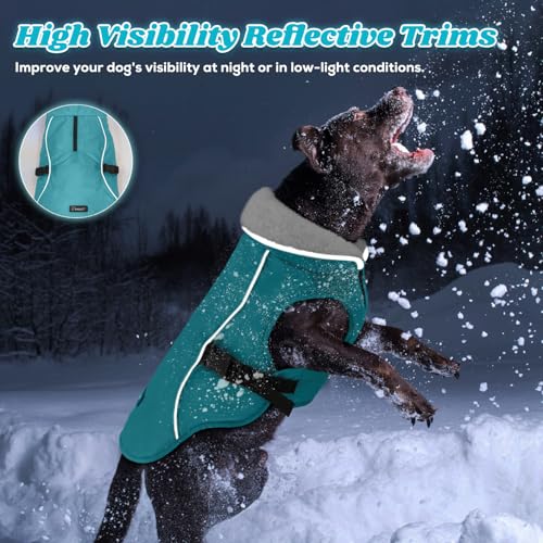 EMUST Dog Winter Coat, Waterproof Fleece Dog Jacket Winter for Small Dogs - color: Turquoise, size: Small