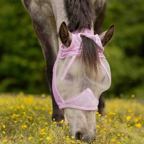 Equinavia Algard Soft Mesh Earless Fly Mask - Sweet Pink - Pony - color: Sweet Pink, size: Pony