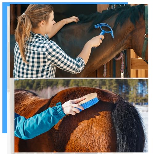 Abbylike 12 Pieces Horse Grooming Kit Equine Care Brushes,Blue - color: Blue
