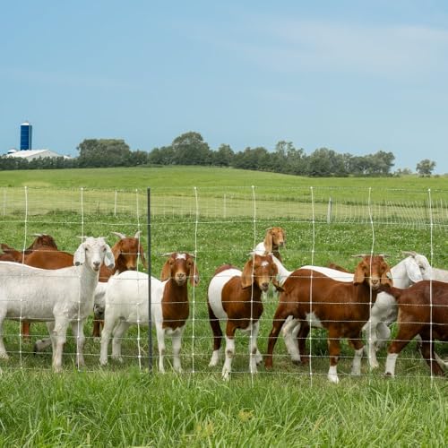 Premier 1 ElectroStop® Pro, PrimaPosts™ – Sheep & Goats – 42"H x 164'L | Green/white. Rigid PrimaPosts™ & braided conductors. For sheep & goats. Keeps out coyotes & dogs. Energizer sold separately. - color: Green/White