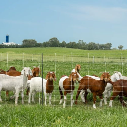 Premier 1 ElectroStop® Pro, PrimaPosts™ – Sheep & Goats – 42"H x 164'L | Green/white. Rigid PrimaPosts™ & braided conductors. For sheep & goats. Keeps out coyotes & dogs. Energizer sold separately. - color: Green/White