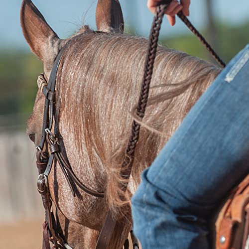 Martin Latigo 5-Plait Roping Rein