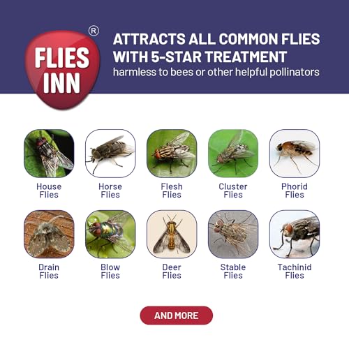 1 Flies Inn LITE Fly Cage Ranch Fly Trap with 2 Flies Inn Fly Bait Refill, Low Odor, Reusable, Built to Last for Years (3 Trap + 6 Bait, 1) - style: 3 Trap + 6 Bait