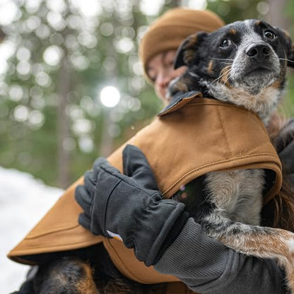 Carhartt Firm Duck Insulated Dog Chore Coat Black S - color: Black, size: Small