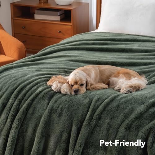 Berkshire Blanket Classic Extra-Fluffy™ Plush Throw Blanket, Soft Fuzzy Fluffy Long Hair Throw Blanket for Couch Sofa Bed, Dark Sage Green, 50x60 Inches - color: Dark Sage Green, size: Throw/Throw XL