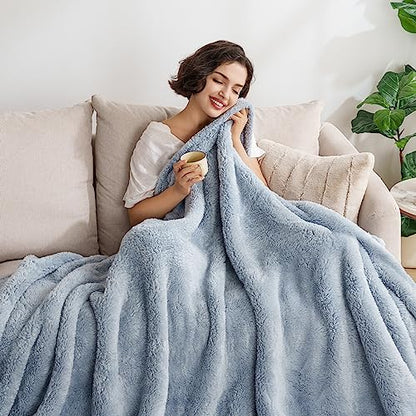 Berkshire Blanket Classic Extra-Fluffy™ Plush Throw Blanket, Soft Fuzzy Fluffy Long Hair Throw Blanket for Couch Sofa Bed, Blue Mist, 50x60 Inches - color: Blue Mist, size: Throw/Throw XL