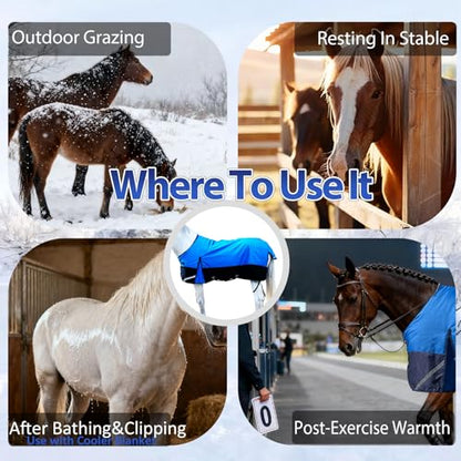 1200D Ripstop Horse Turnout Rain Sheet(No Fill) Blue/Black 72'' - color: Blue/Black 0g Fill, size: 72''