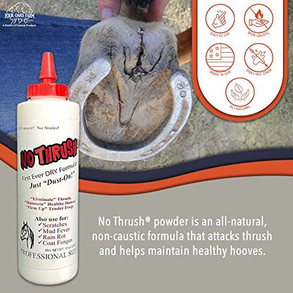 Four Oaks Farm Ventures, No Thrush Dry Powder Treatment for Horses - Wound Care, Scratches, Rain Rot, Mud Fever, Coat Fungus - All Natural Ingredients, Non-caustic, Easy to Use Powder Formula (10 oz) - size: 10 Ounce