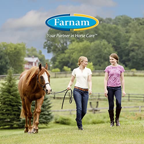 Farnam Equisect Botanical Fly Repellent for Horses, Dogs and Cats, 32 Ounces, Quart Spray (Pack of 2) - size: 32 Fl Oz (Pack of 2)