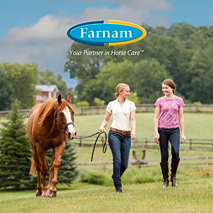 Farnam Equisect Botanical Fly Repellent for Horses, Dogs and Cats, 32 Ounces, Quart Spray (Pack of 2) - size: 32 Fl Oz (Pack of 2)