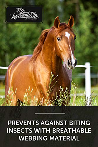 Kensington Fly Mask with Fleece Trim for Horses — Protects Face and Eyes from Flies and Sun Rays While Allowing Full Visibility — Breathable and Non Heat Transferring, Large, Tan - color: 500 - Desert Sand