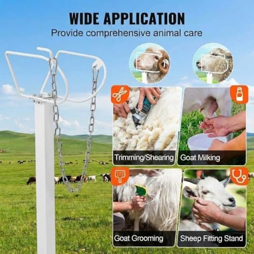 Goat Milking Stand, 47"X23" Heavy Duty Adjustable Goat & Sheep Stand, 21"-33" Livestock Hoof Trimming & Shearing Milking Table with Headpiece and Nose Loop, 500 Lb Capacity Metal Stanchion，White - color: White