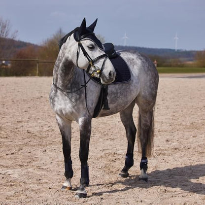 Horze Adepto Open Front Tendon Boots | Durable Shell with Neoprene Lining - Dark Navy - Cob - color: Dark Navy, size: Cob