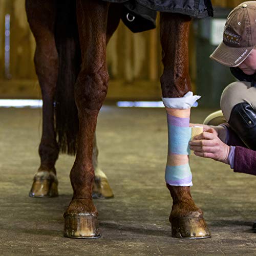 Neogen Ideal SyrFlex 4" Multi-Colored Vet Bandage (TA3400RBW-E)