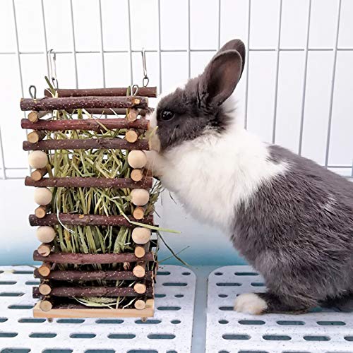 Hanging Apple Wood Rabbit Hay Feeder for Chinchilla Bunny Hamster Gerbil