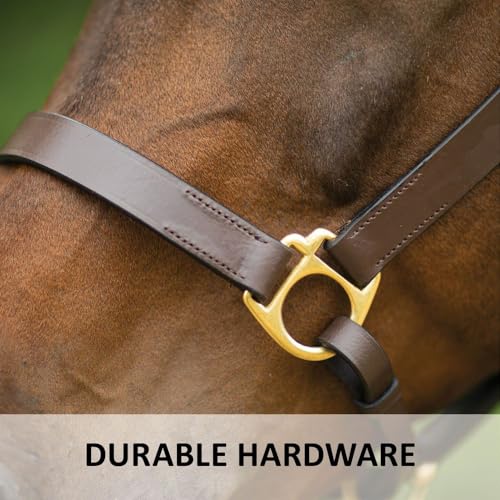 Dura-Tech Premier Lancaster Leather Halter for Horses | Simple Economy Leather Halter with Adjustable Fit & Solid Brass Hardware - size: Full Size