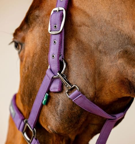 Horseware® Amigo® Halter & Leadrope Set - color: Winterberry, size: Pony