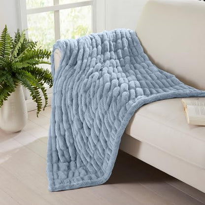 Springtree Home Luxury Micro Plush Throw Blanket | Thick Faux Fur | Blue | Lily Collection | 50" x 60" | Blue Blanket | Ultra Plush - color: Powder Blue, size: 50" x 60" (Medium)