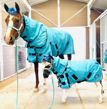 Mini-Pony Horse Ripstop Waterproof Windproof Hooded Blanket Lightweight Turnout Rain Sheet Breathable Lining 1200 Denier Material (44-46", Teal) - color: Teal, size: 44-46"
