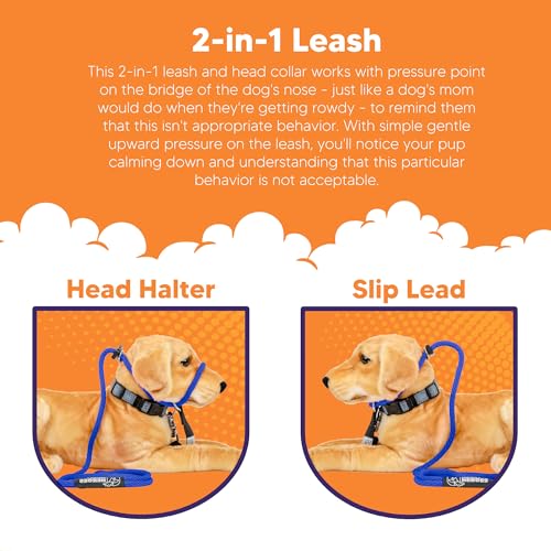 Heather's Heroes The Sidekick No-Pull Leash Blue - color: Blue, size: Mini (1/4")