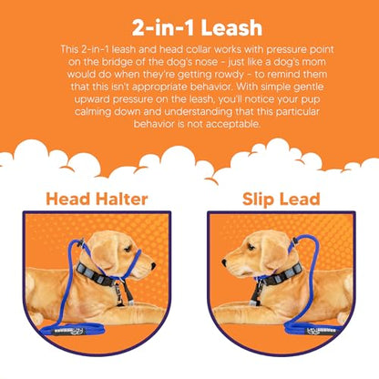 Heather's Heroes The Sidekick No-Pull Leash Blue - color: Blue, size: Mini (1/4")