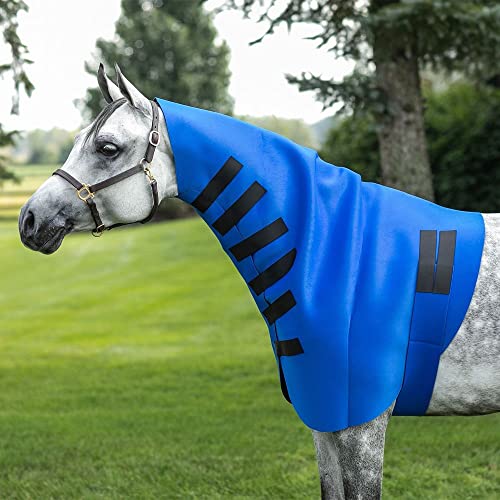 Dura-Tech Superior Neck/Chest/Shoulder Sweat for Horses | Designed by Professionals | Impressive Results | Stretchy Neoprene Material | Adjustable Fit | Secure Hold | Size Medium - size: Medium