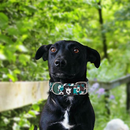 TSPRO Heavy Duty Thick Dog Collar with Metal Buckle for Small Dogs - color: Camo Cyan, size: S – Fits Neck 12.6"-15.8"
