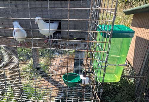 Hen's Choice™ 1L (32 oz) Drinker W/Cup, Nipple, & Wire Bracket for Chicks & Small Animals, Chicken Waterer, Green - color: Green/White, size: 1 Liter