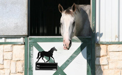 QWORK Horse Stall Name Plate, 2 Pack Heavy Duty Steel Horse Stall Plague, Horse Stall Personalized Signs, All Weather UV Protected, Black