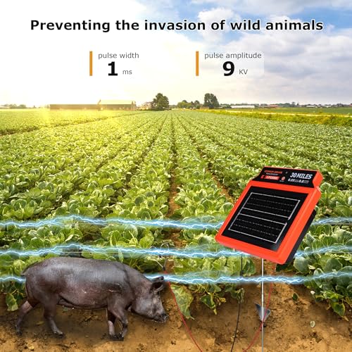 LFGS80 Solar Electric Fence Charger, 50 Miles, 0.8J Portable Solar Powered Charger 24-Hour Uninterrupted Protection, Day or Night Mode for Livestock, Cattle Sheep, Pigs, Horses - size: LFGS80