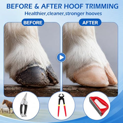7pcs 8" Farrier Tool Kit, Hoof Rasp Nipper Trimmer Livestock Sling - style: Essential Hoof Care Kit