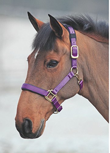 Shires Topaz Leather Breakaway Nylon Headcollar - color: Purple, size: Cob
