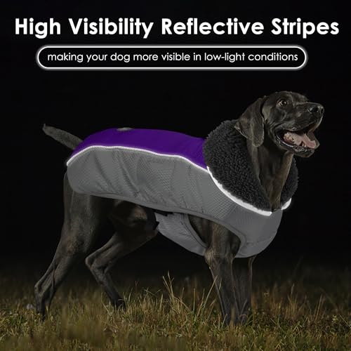 Petglad Dog Coat, Waterproof Ripstop Dog Winter Jacket with Leash Hole, Reflective Adjustable Warm Pet Fleece Snow Sweater for Small Medium Large Dogs - Purple, L - color: Purple, size: L