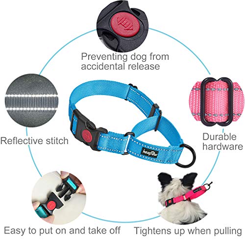 haapaw Martingale Dog Collar with Quick Release Buckle Reflective Dog Training Collars for Small Medium Large Dogs - color: Blue, size: M
