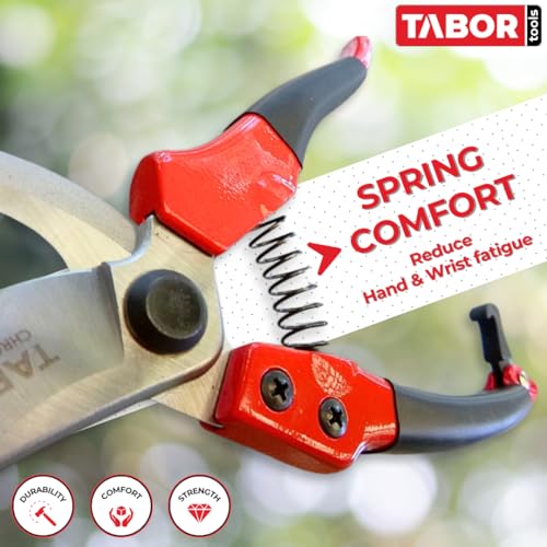 TABOR TOOLS S821A Bypass Pruning Shears for Small to Medium Hands, Chrome Plated Blades with 3/4 Inch Cut Capacity, Professional Hand Pruner, Garden Secateurs & Clippers with Safety Lock - style: Bypass