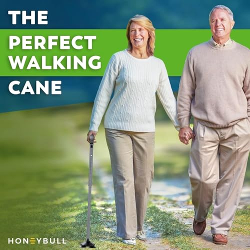HONEYBULL Walking Cane for Men & Women, Foldable, Free Standing Cane - color: Gray