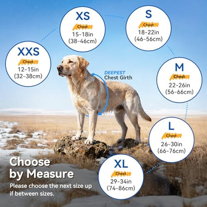 VIVAGLORY Dog Jacket Warm Snowrap Dog Winter Coat Vest, XXS, Fuchsia - color: Fuchsia, size: XXS(Chest: 12-15'')