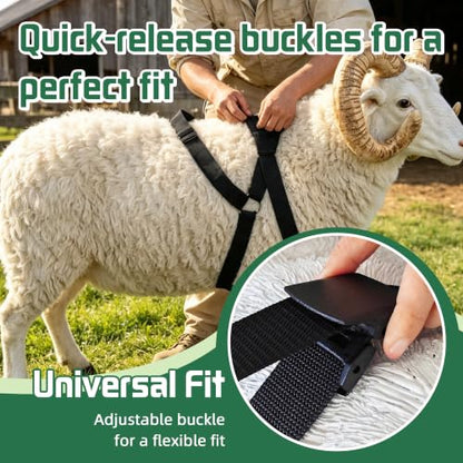 Ram Breeding Marking Harness &1 Marking Crayon for Goat Sheep,Green