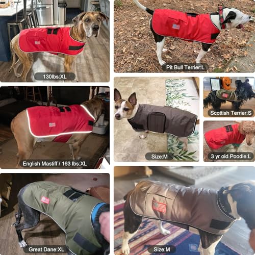 BEAUTYZOO Dog Winter Coat for X-Large Dogs, Waterproof Canvas Jackets - color: Green, size: XL(Chest Girth 34"-45", Back 24", Neck 24"-29")