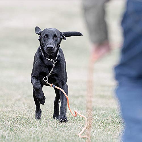 SportDOG Orange Check Cord - High-Visibility Floating Check Cord - Lightweight Tangle-Free Long Dog Training Lead with Heavy-Duty Brass Snap
